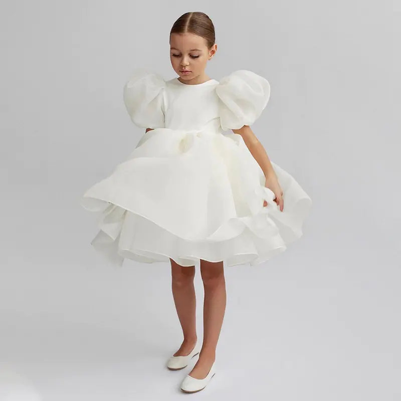 Girls Casual Puff Sleeve Princess Dress