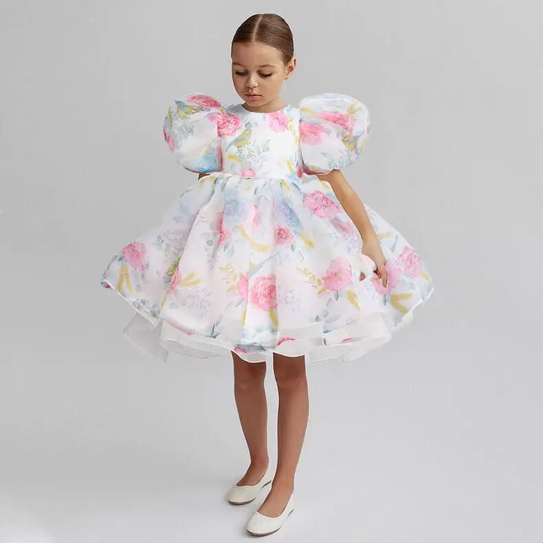 Girls Casual Puff Sleeve Princess Dress